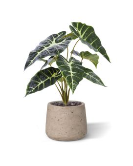 Alocasia planta artificial Promo 40cm verde