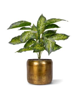 Aglaonema planta artificial 40cm