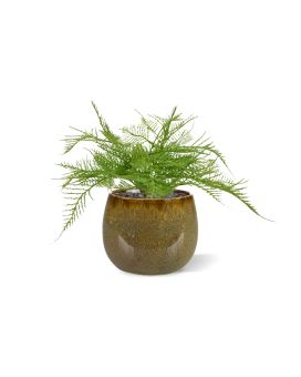 Helecho espárrago Planta artificial 30cm