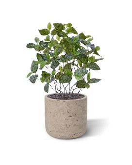 Fittonia Mont Blanc planta artificial 50cm