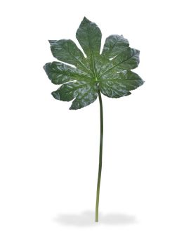 Fatsia artificial XL leave 81 cm