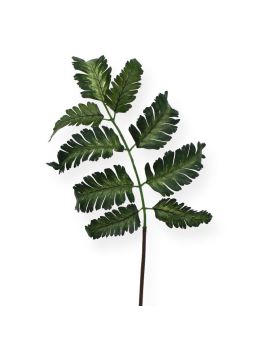 Hoja de helecho Pteris 50 cm