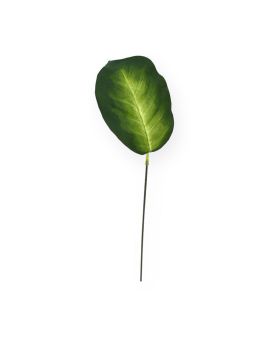 Hoja artificial de Dieffenbachia