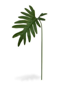 Philo Xanadu hoja 55 cm