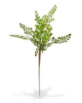 Adiantum rama artificial PL 50 cm