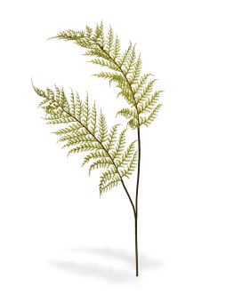 Helecho rama artificial PL x2 80 cm