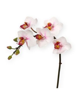 Mini planta artificial Phalaenopsis 50 cm rosa