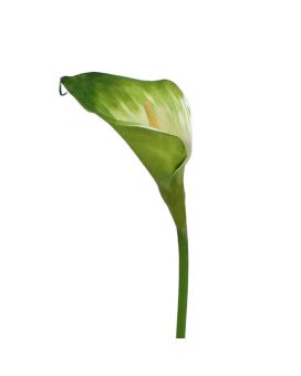 Calla flor de tallo artificial 55 cm verde-blanco