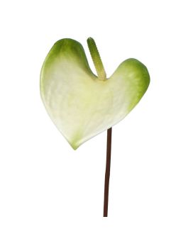 Anthurium planta artificial S 50 cm blanco-verde