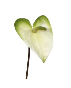 Anthurium planta artificial M 55 cm blanco-verde