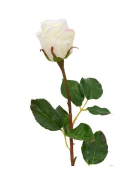 Ramo de rosa capullo 52 cm crema