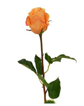 Ramo de rosa capullo 52 cm naranja