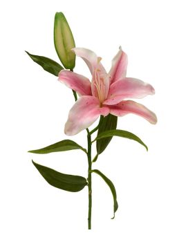 Lirio artificial rama Deluxe 55 cm rosa