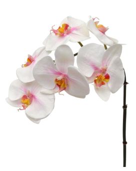 Phalaenopsis rama artificial 55 cm rosa