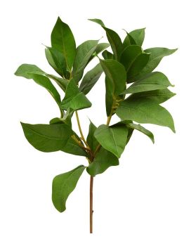 Rama de hoja artificial de laurel 60 cm