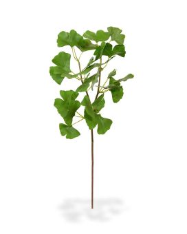 Ginkgo hoja artificial rama deluxe 50