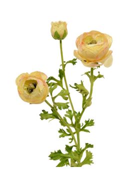 Ranunculus rama artificial deluxe 70 cm crema-rosa