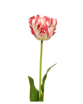 Tulipán Van Gogh flor artificial 70 cm rojo y blanco
