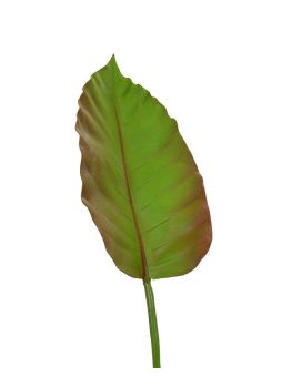 Caladium hoja artificial deluxe 75 cm