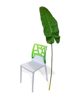 Alocasia hoja artificial rama XL