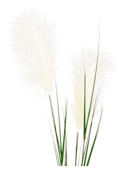 Césped artificial de la Pampa tallo 120 cm crema