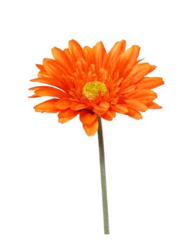 Flor de tallo artificial Gerbera 60 cm naranja