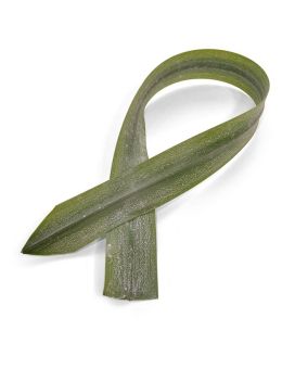 Hoja artificial de Aspidistra 75 cm verde