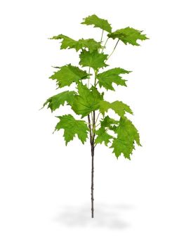 Arce artificial rama deluxe 80 cm verde
