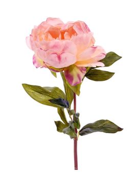 Peonia (Paeonia) flor artificial deluxe 55 cm rosa