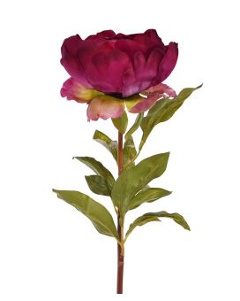 Peonia (Paeonia) flor artificial deluxe 55 cm cerise