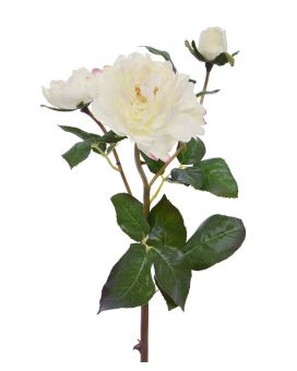 Art Rose Ramo Ruffle 50 cm crema