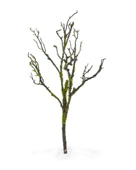 Rama de madera artificial deluxe con musgo 70 cm