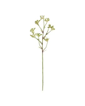 Canguro rama 70cm - verde