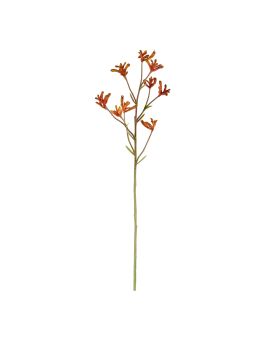 Canguro rama 70cm - naranja