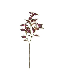 Rama de Coleus 80cm Morado/Rosa