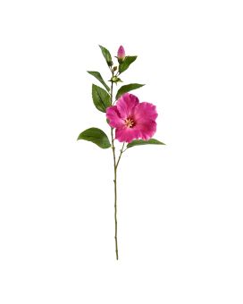 Hibiscus rama 65cm - cerise