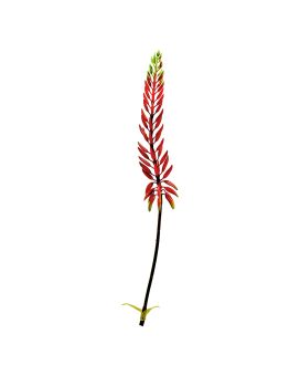 Agave Rama Artificial 80cm Naranja