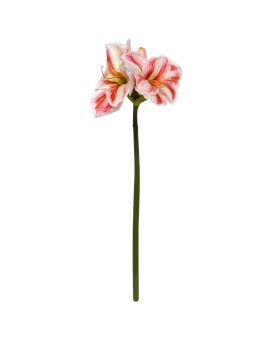 Amaryllis Flor Artificial 67cm Blanco Rojo