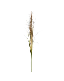 Hierba de la Pampa rama artificial 125 cm natural