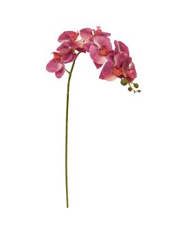 Phalaenopsis flor artificial 95cm Morado