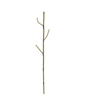 Polygonum rama artificial 86cm verde