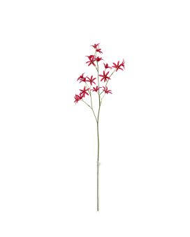 Rama de Tweedia Oxypetalum 68cm Púrpura