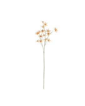 Rama de Tweedia Oxypetalum 68cm Naranja