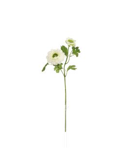 Rama de Ranunculus 46cm Crema