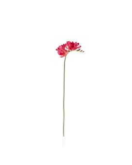 Rama de Freesia 53cm Cerise