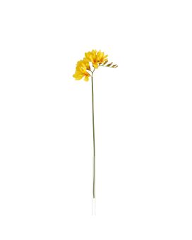 Rama de Freesia 53cm Amarilla