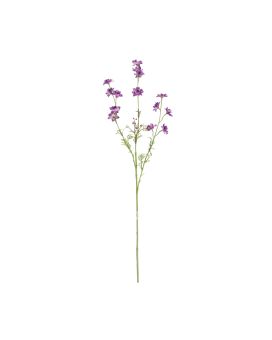 Rama de Delphinium 78cm Púrpura
