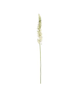 Rama de Eremurus 110cm Crema