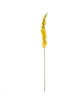 Rama de Eremurus 110cm Amarillo