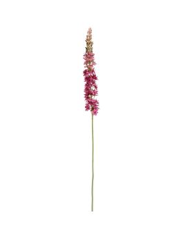 Rama de Eremurus 110cm Púrpura